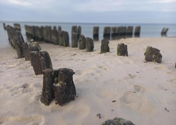 Апартаменты 22 C