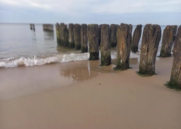 Апартаменты 22 C